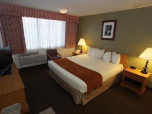 Room #18366821 at Best Western Pony Soldier Inn & Suites