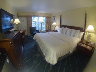 Room #18856427 at Floridian Hotel
