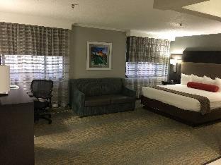 Room #18064920 at Best Western At O'Hare