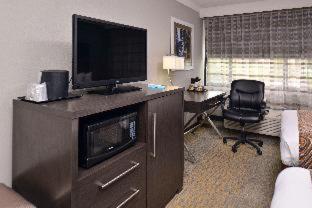 Room #18064919 at Best Western At O'Hare