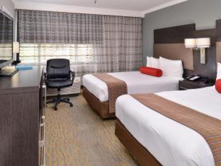 Room #18064919 at Best Western At O'Hare