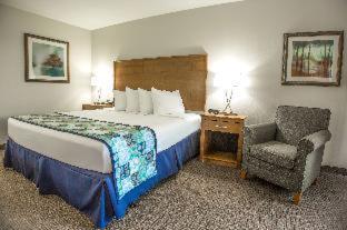 Room #53555009 at Red Lion Inn & Suites Branson