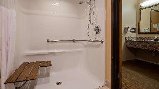 Room #33556334 at Best Western Saluki Inn