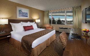 Room #31248024 at Coast Gateway Hotel