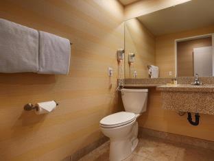 Room #42790010 at Best Western Date Tree Hotel