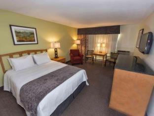 Room #29684921 at Best Western Rocky Mountain Lodge