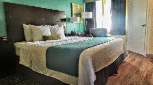 Room #29159515 at Best Western Plus Deerfield Beach Hotel & Suites