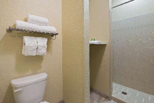 Room #111161713 at Best Western Plus Patterson Park Inn