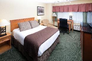 Room #39226508 at Red Lion Hotel Kalispell