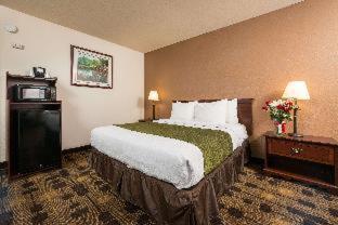 Room #112824215 at Best Western Amador Inn