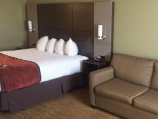 Room #18366823 at Best Western Pony Soldier Inn & Suites