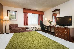 Room #112824219 at Best Western Amador Inn