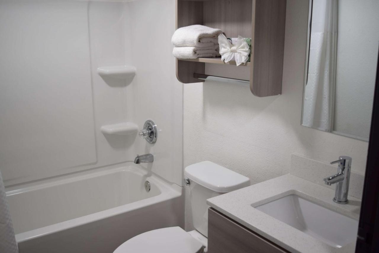Queen Studio Suite - Non-Smoking at Microtel Inn & Suites by Wyndham Raleigh
