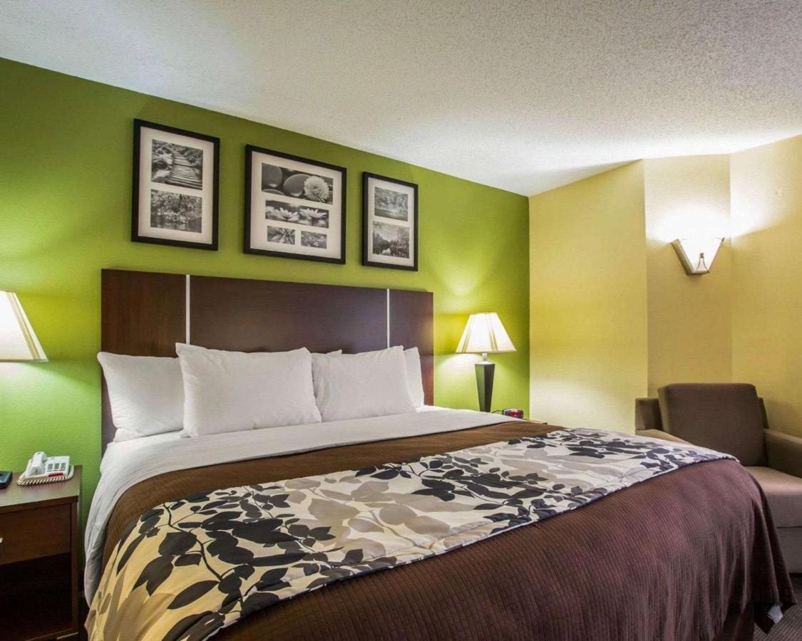 King Room - Non-Smoking at Sleep Inn Asheville - Biltmore West