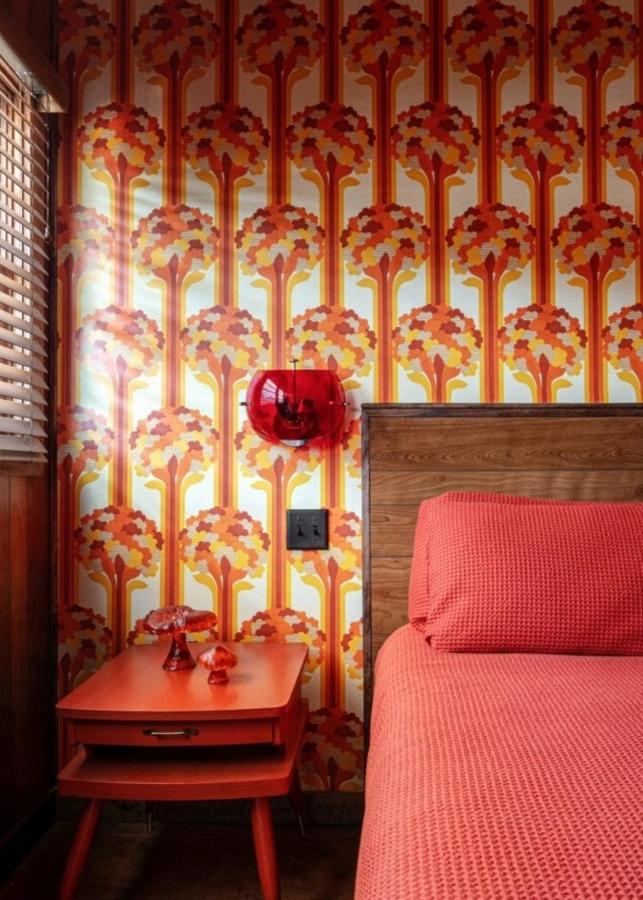 | The Dive Motel and Swim Club