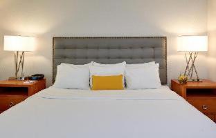 Room #139116810 at The Kensington Hotel