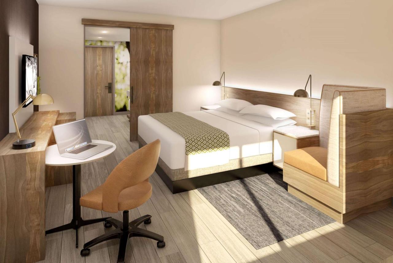 King Room - Non-Smoking at Wyndham Garden Sacramento Airport Natomas