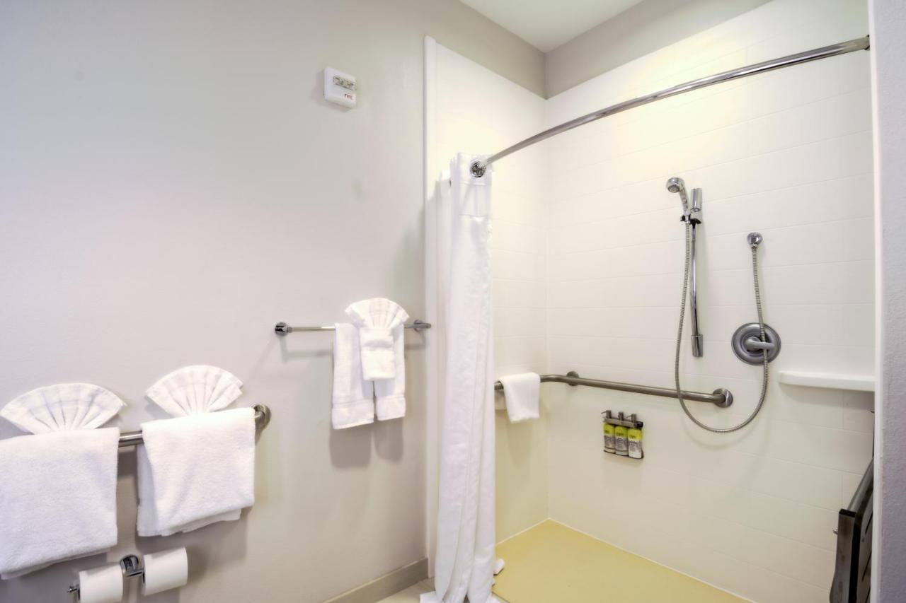 King Hear Accessible Roll In Shower - Non-Smoking at Holiday Inn Express & Suites Tampa USF Busch Gardens by IHG