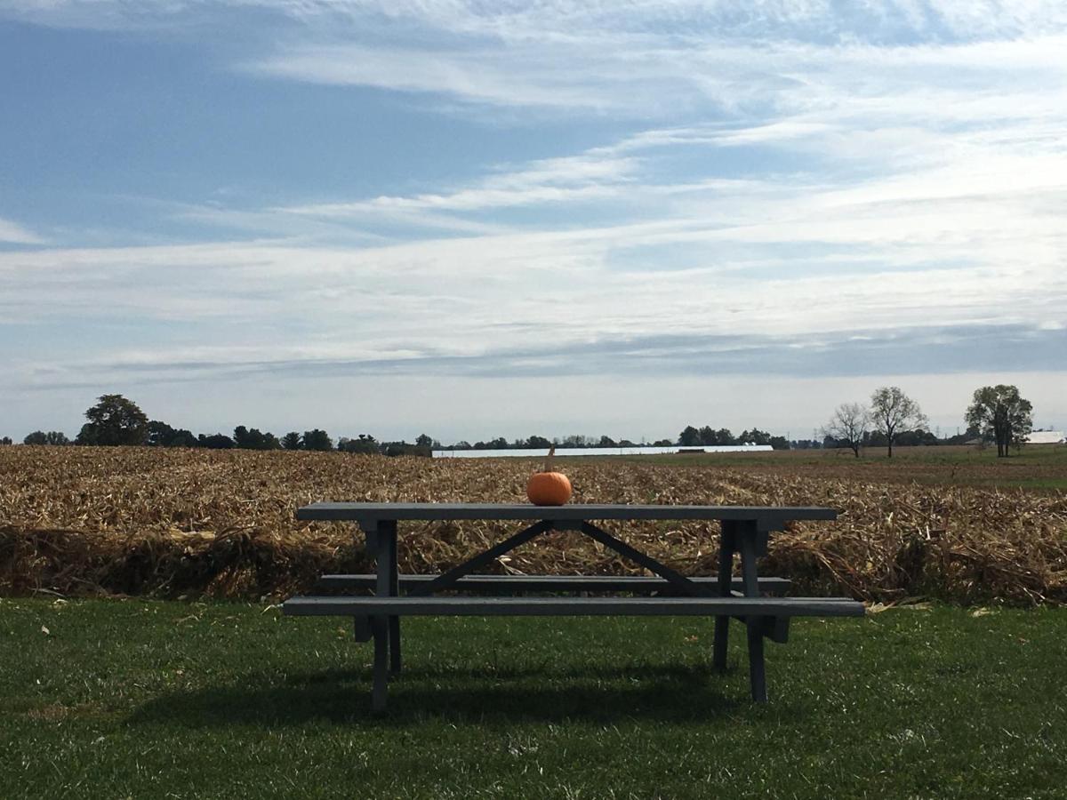 | Hertzog Homestead Bed & Breakfast