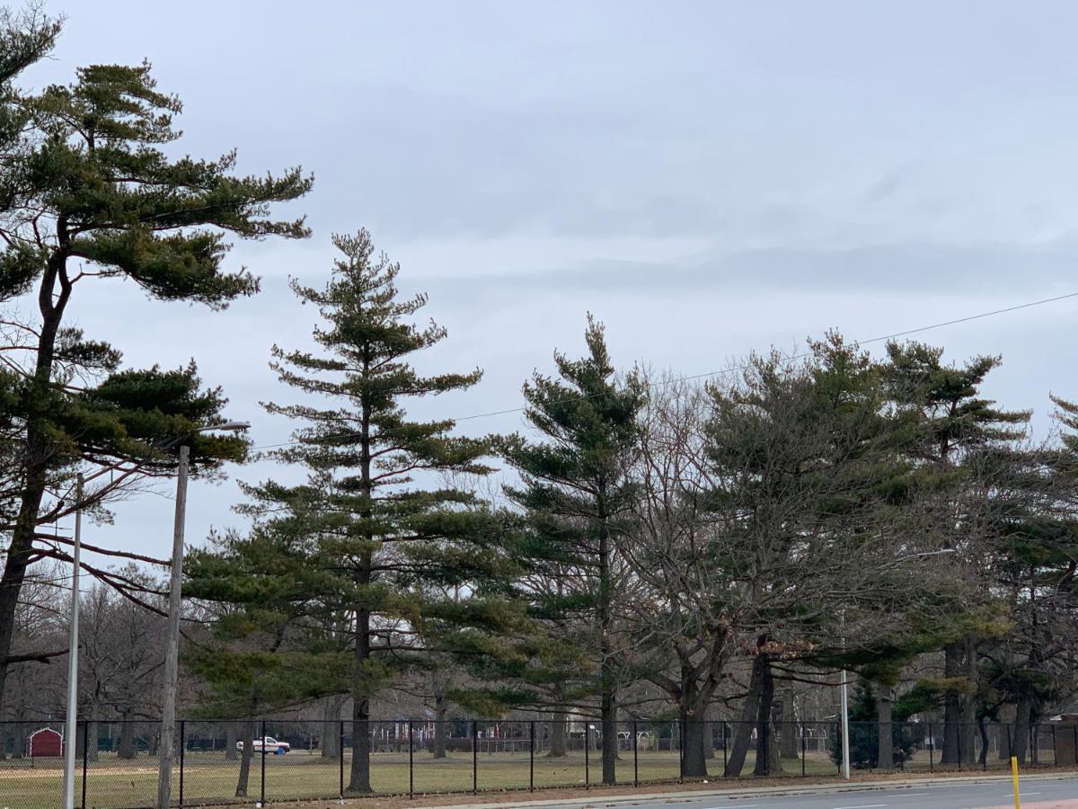 | Coliseum Inn & Suites - Garden City Long Island