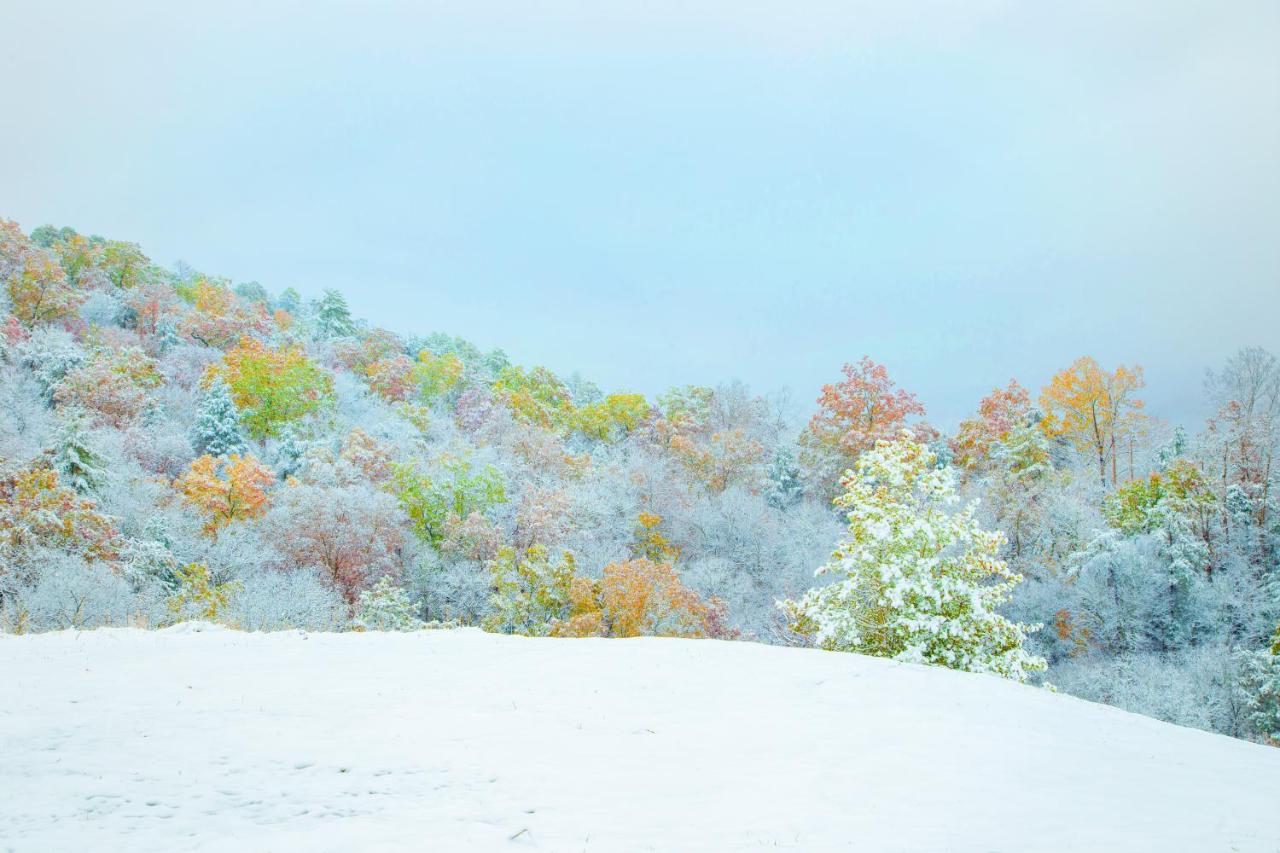 | Leconte Mountain Breeze