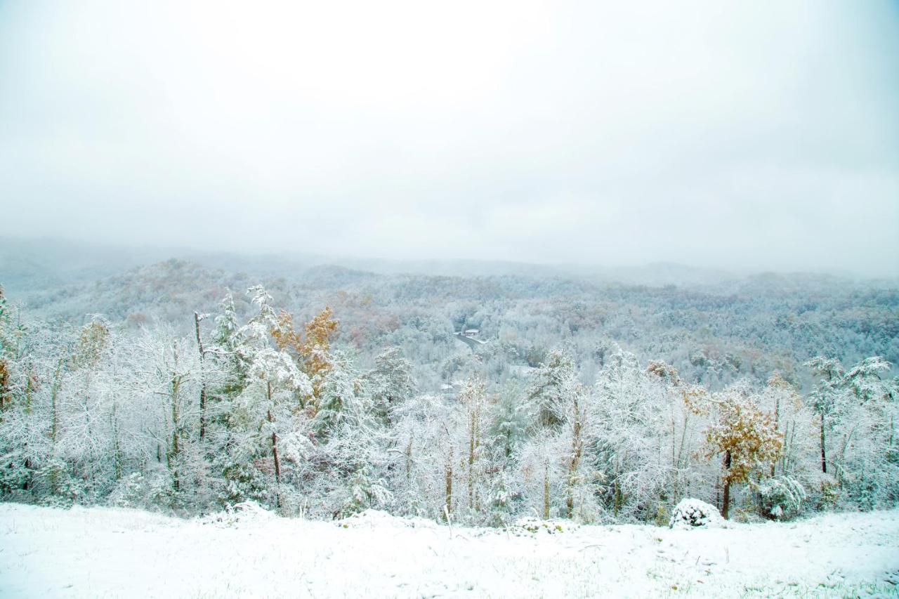 | Leconte Mountain Breeze
