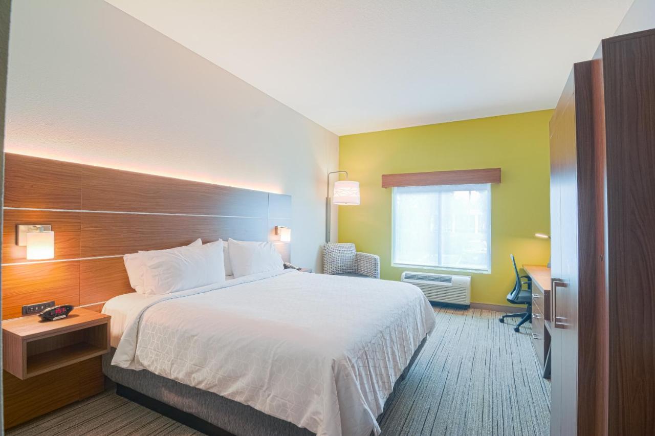 King Room at Holiday Inn Express & Suites Tampa USF Busch Gardens by IHG
