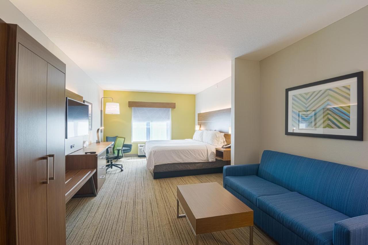 King Suite with Sofa Bed at Holiday Inn Express & Suites Tampa USF Busch Gardens by IHG