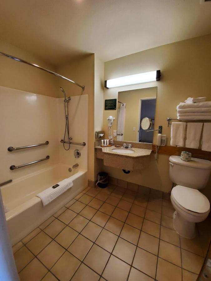 One-Bedroom Queen Suite - Disability Access/Non-Smoking at Country Inn & Suites by Radisson, Bend, OR