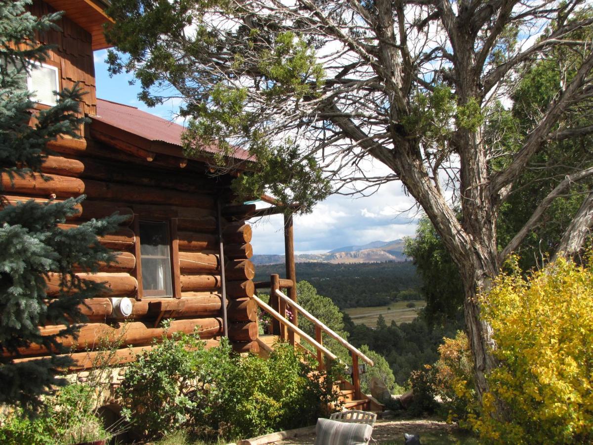 | Starry Nights Ranch Bed & Breakfast