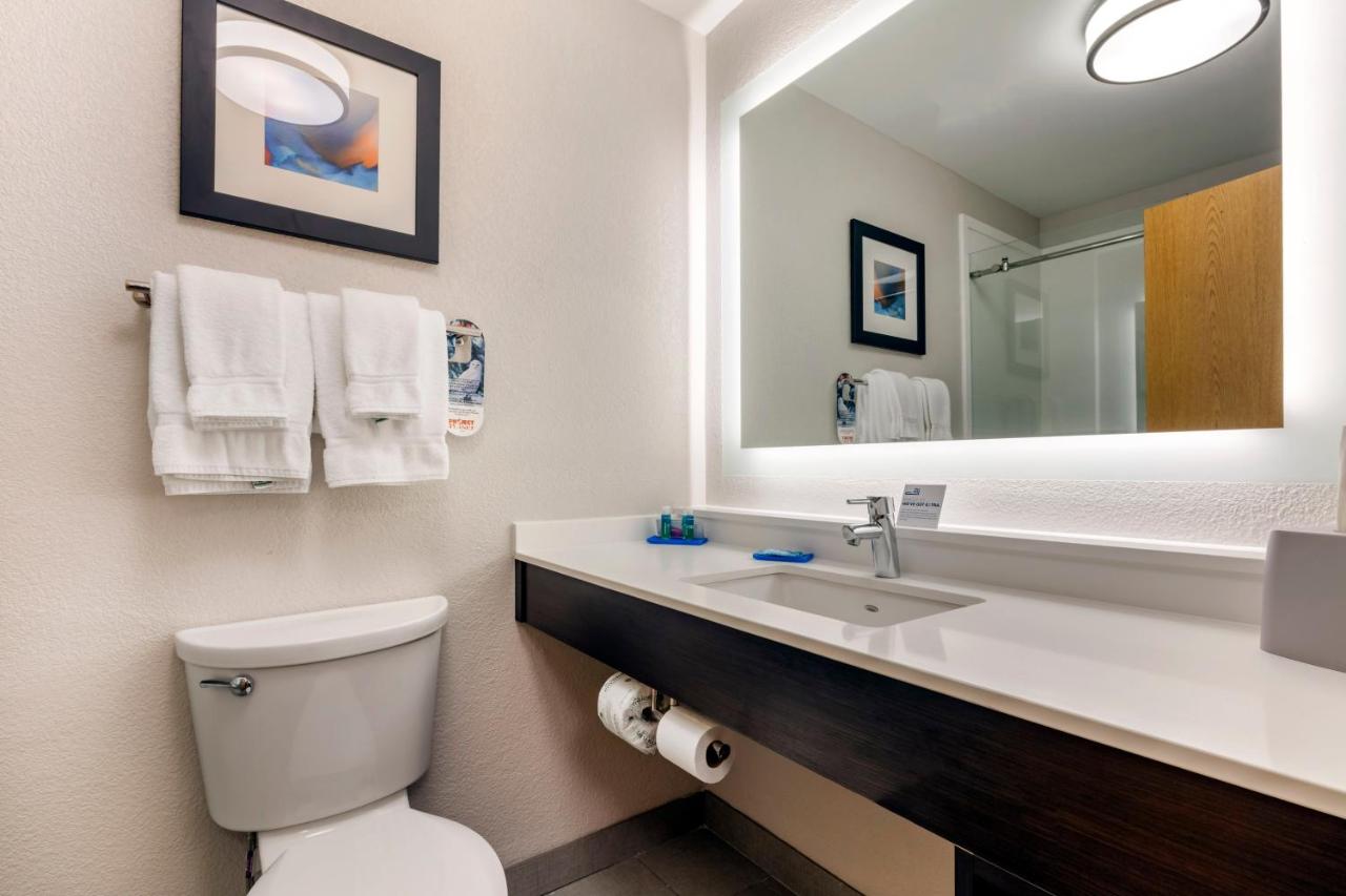King Room - Hearing Accessible - Roll-in Shower at Holiday Inn Express Metropolis by IHG