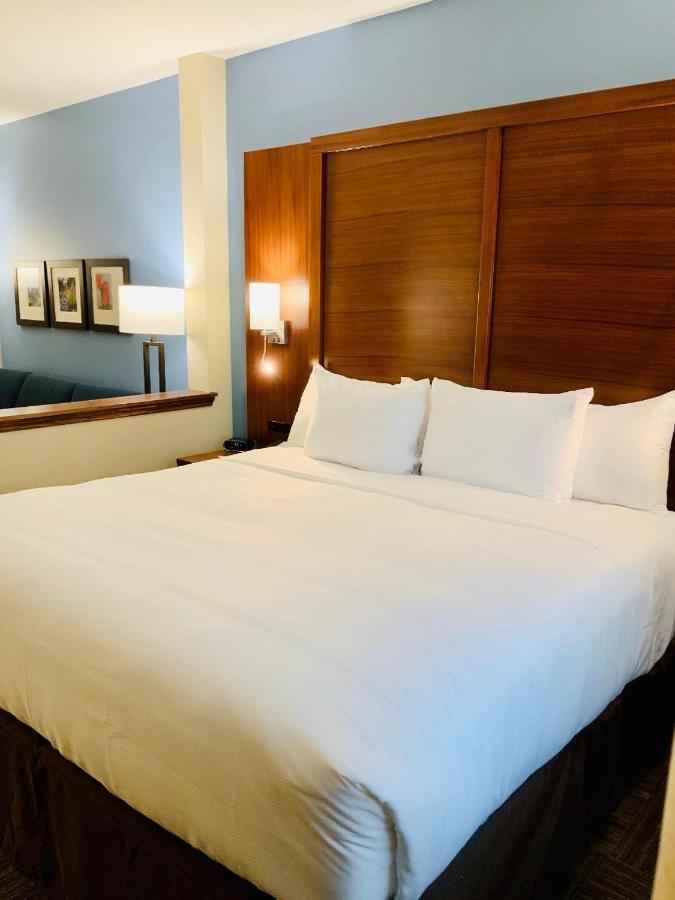 King Suite - Non-Smoking at Comfort Suites Cedar Park - Austin Northwest