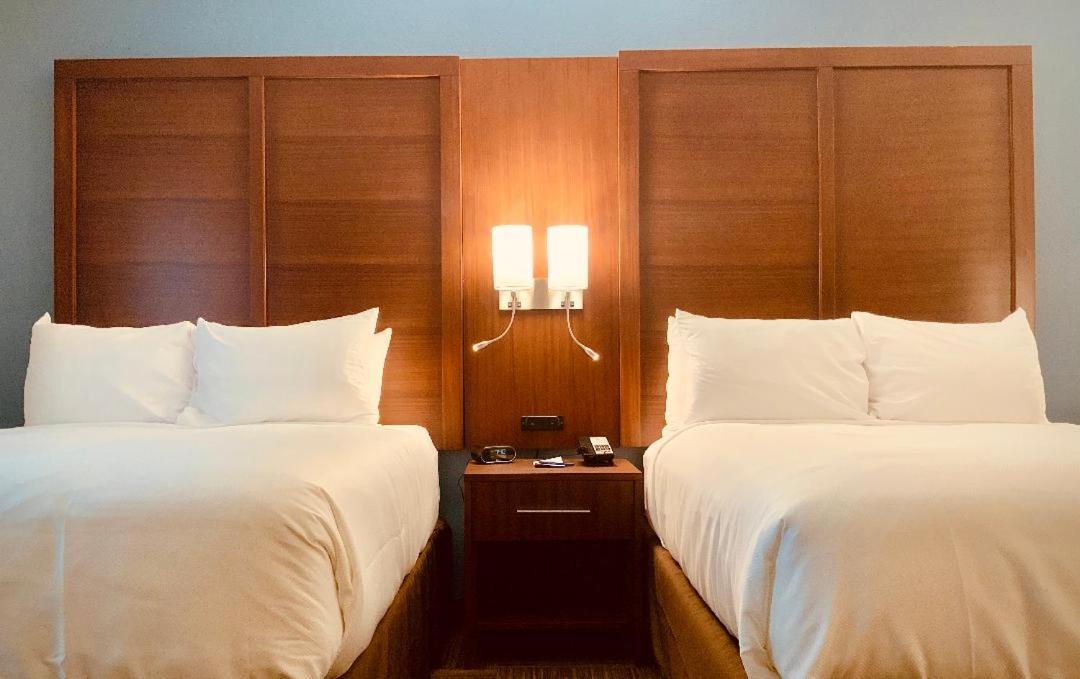Queen Suite with Two Queen Beds and Bathtub - Non-Smoking at Comfort Suites Cedar Park - Austin Northwest