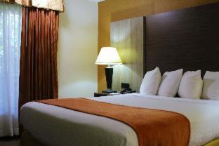 Room #32289720 at Best Western Galleria Inn & Suites