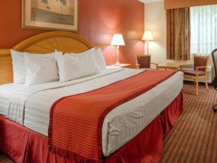Room #5966015 at Best Western Center Inn