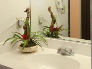 Room #90855322 at Redac Gateway Hotel In Torrance