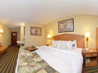 Room #25829612 at Best Western Rochester Marketplace Inn