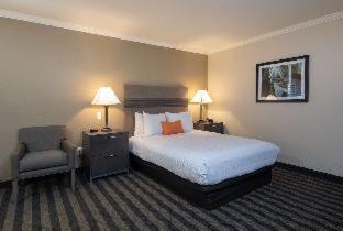 Room #24102520 at Best Western Silicon Valley Inn