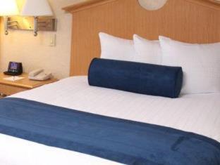 Room #18158214 at Marco LaGuardia Hotel
