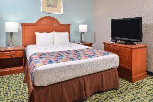Room #32847263 at Best Western Plus Chesapeake Bay-Norfolk