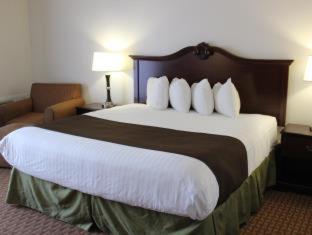 Room #29266109 at Best Western Chieftain Inn