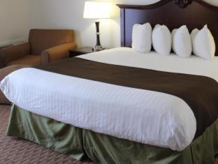 Room #29266110 at Best Western Chieftain Inn