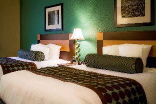 Room #30180614 at Best Western Plus Chena River Lodge