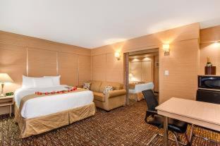 One-Bedroom Suite (4 Adults) at Ocean Beach Palace Hotel and Suites
