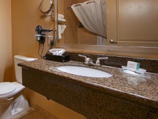 Room #30180615 at Best Western Plus Chena River Lodge