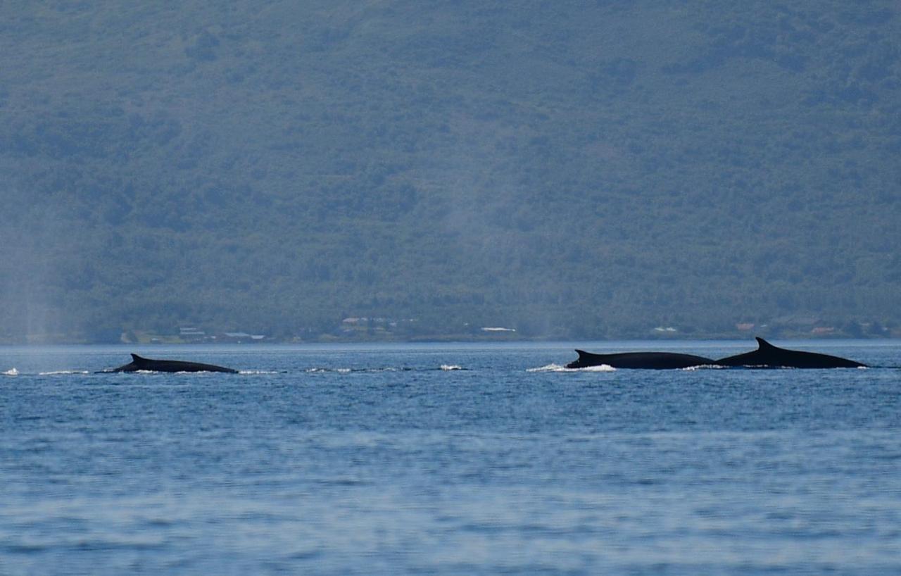  | Zachar Bay Lodge