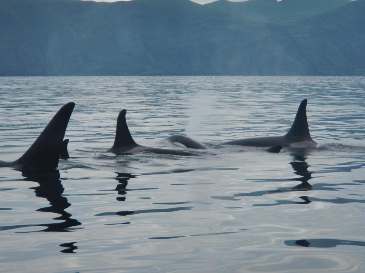  | Zachar Bay Lodge
