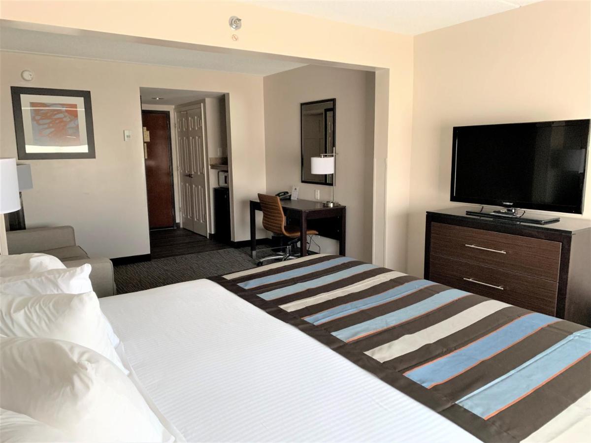 King Room with Sofa Bed - Non-Smoking at Wingate by Wyndham - Wilmington