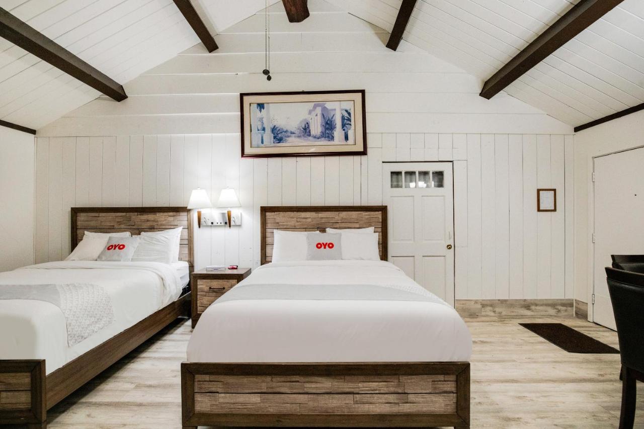 | Arrowhead Tree Top Lodge