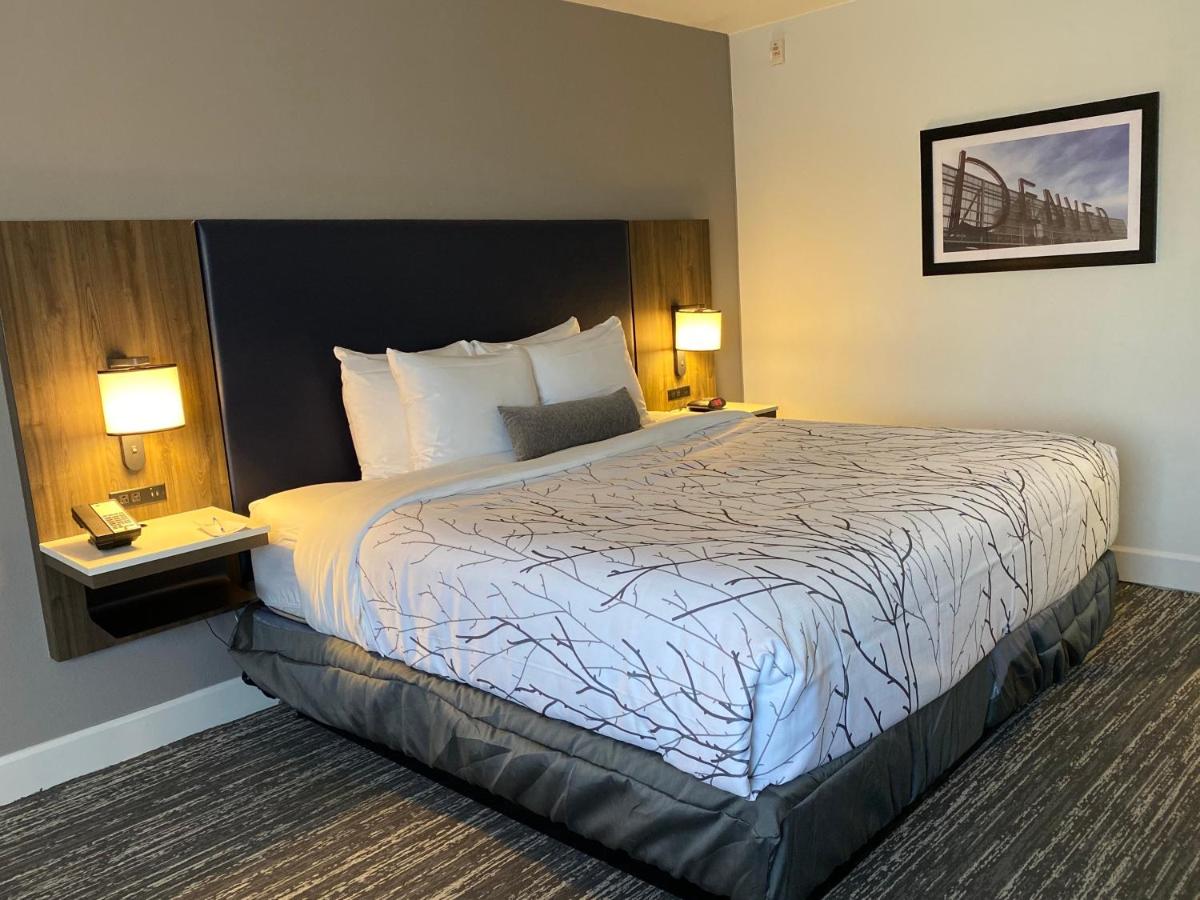 King Room at Best Western Denver East
